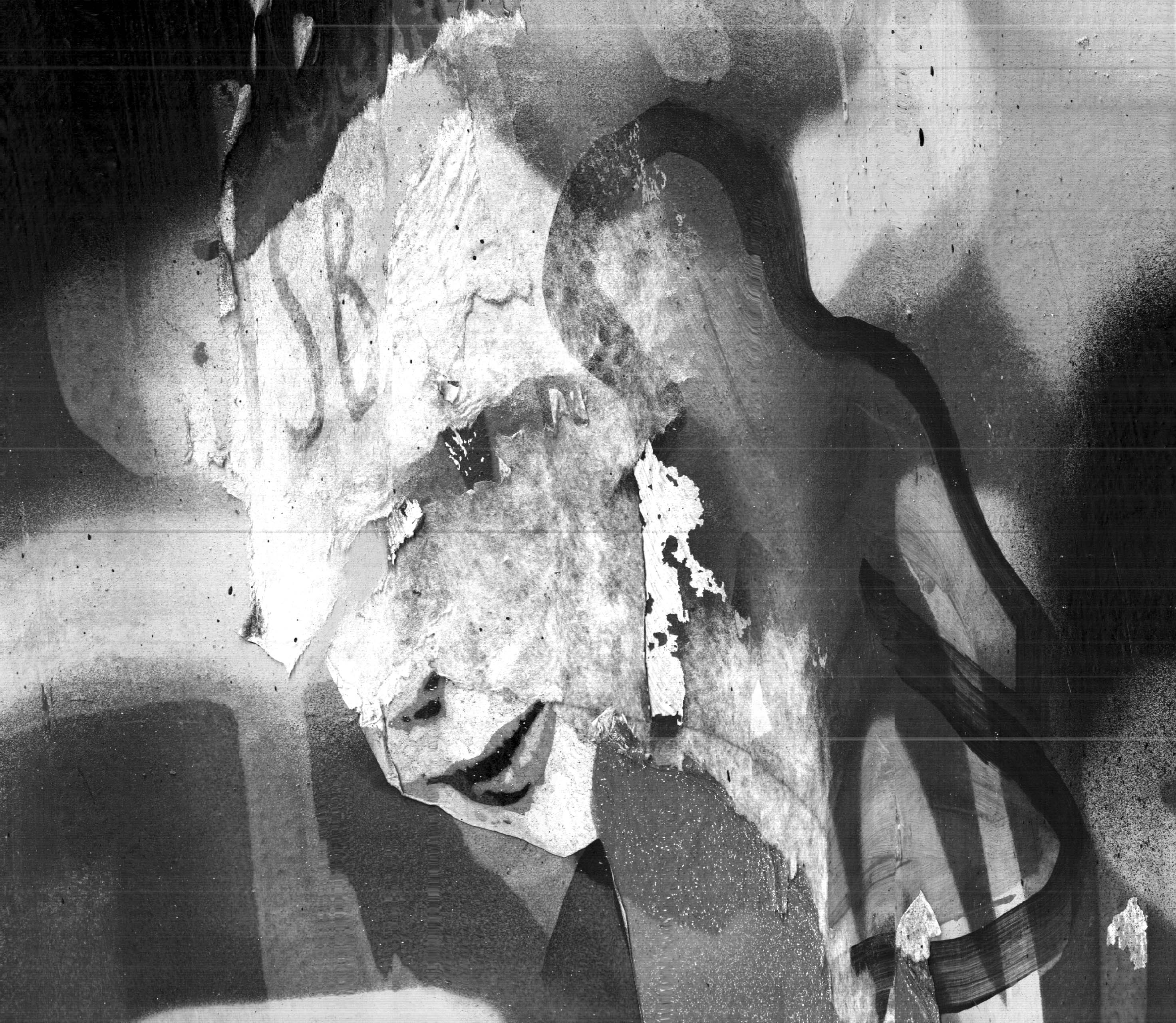 Matthieu Bertéa - scanographie mobile - scanner portable image 38